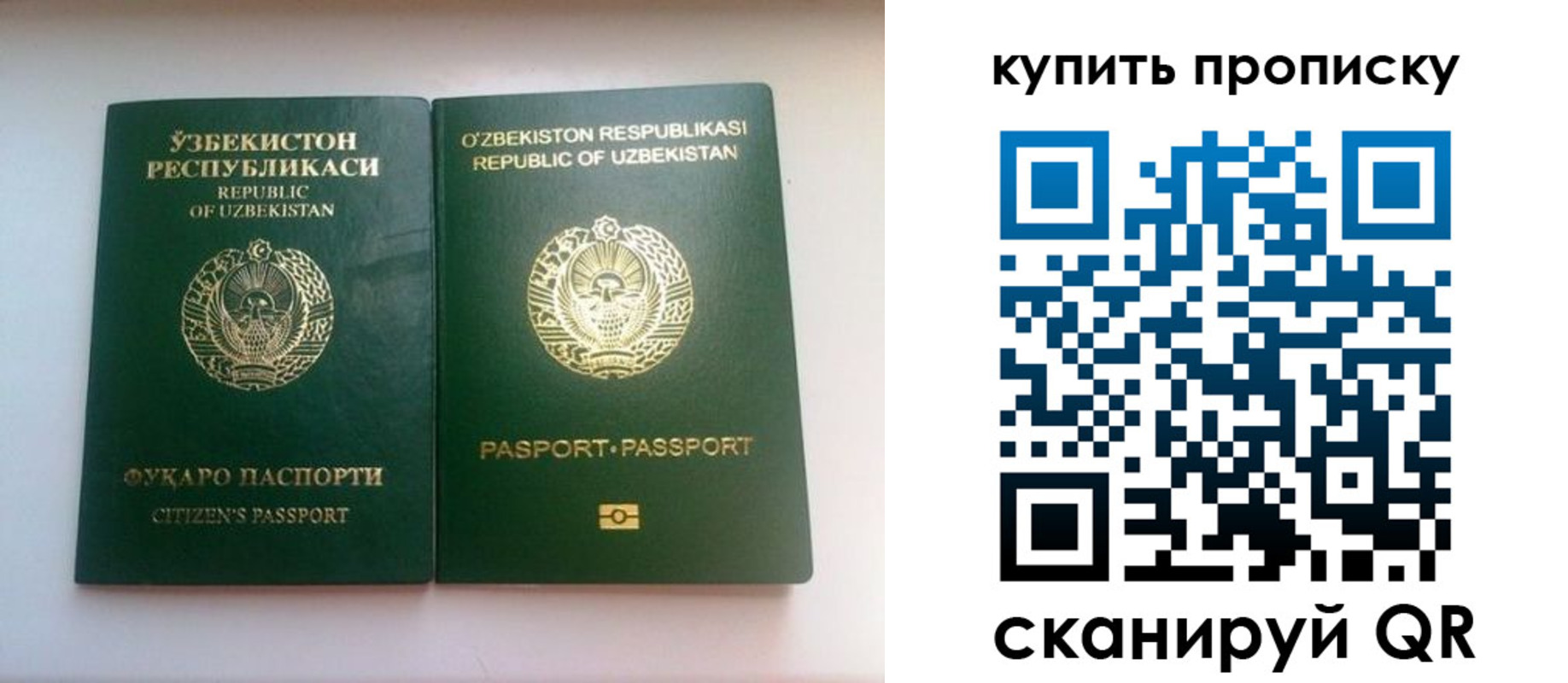 временная прописка в Камчатской области